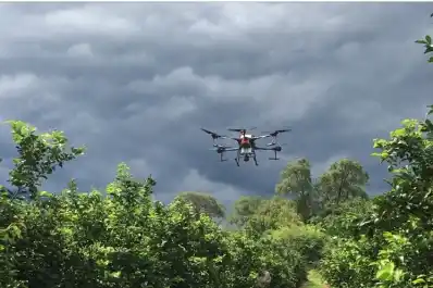 Citricultura: ensayos de la Eeaoc demuestran que los drones vuelven más eficiente la producción
