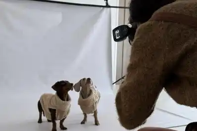 La “salchimanía”: del amor en casa al estrellato en redes