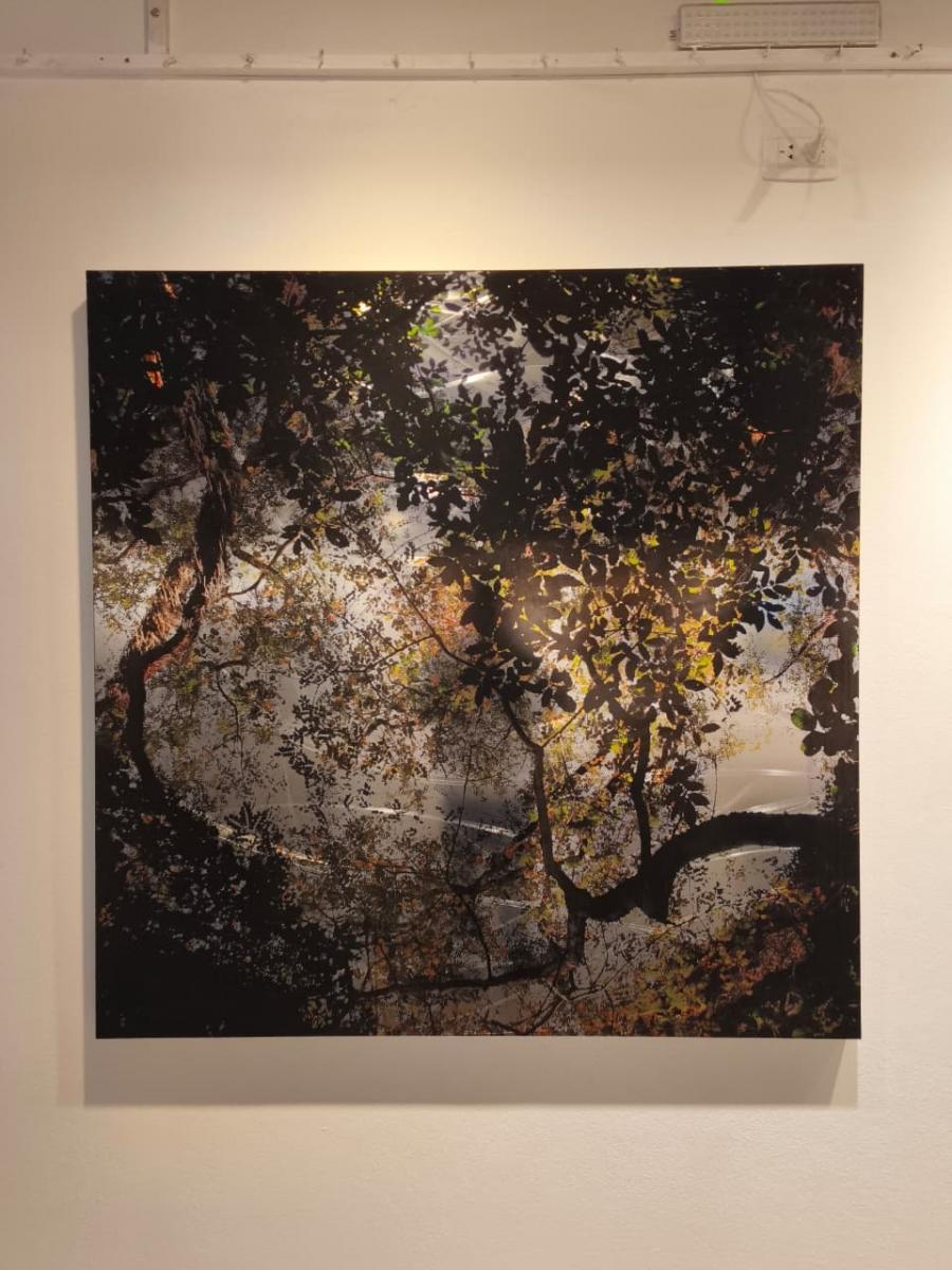 NATURALEZA. Juliet Ruiz Fernández presentó su fotografía sobre acero “Universo Yungas”, y fue premiada por el jurado del salón.