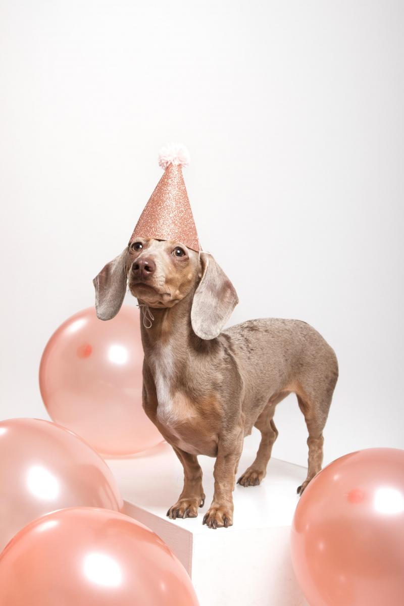 La “salchimanía”: del amor en casa al estrellato en redes