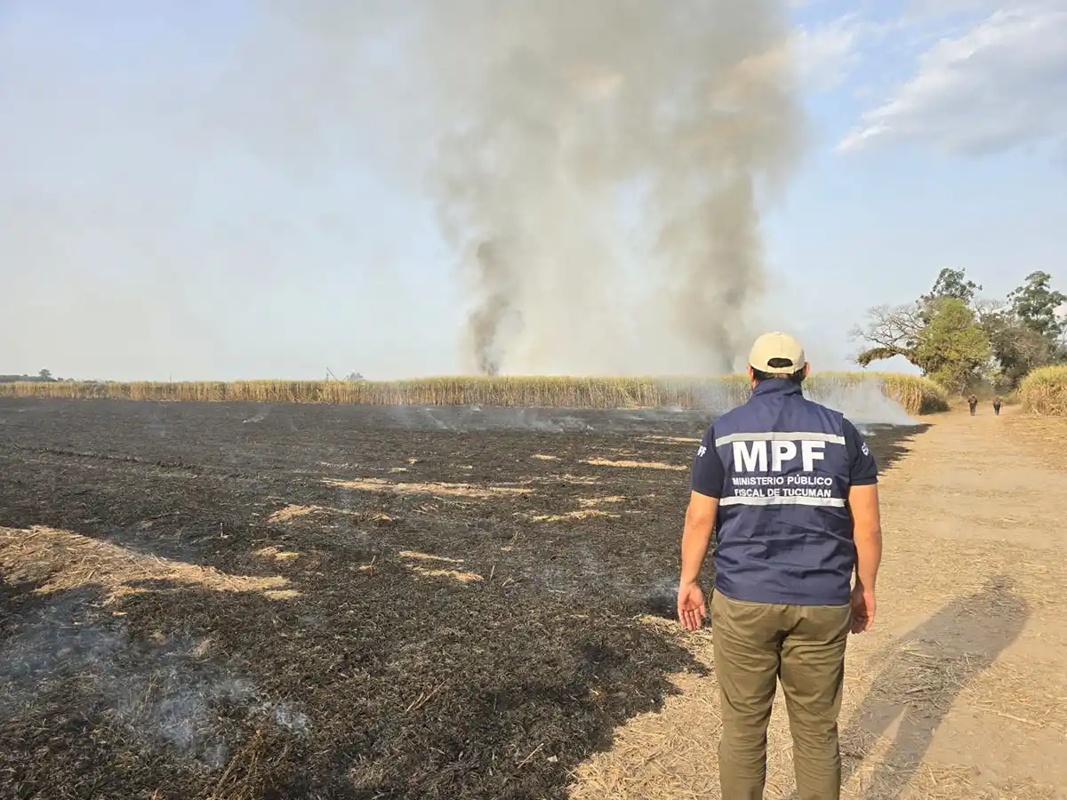 Un incendio afectó 50 hectáreas de cañaverales en Mancopa