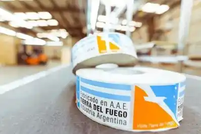 Cómo comprar en CourierTDF: electrodomésticos a menor costo desde Tierra del Fuego