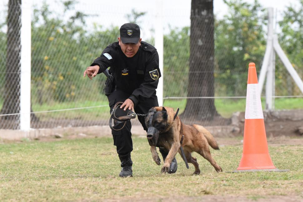 Droga por correo privado: detienen en Yerba Buena a una pareja con más de dos kilos de marihuana