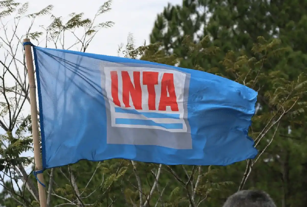 Restituyeron los decretos rechazados en el Congreso