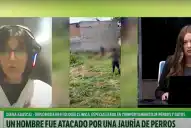 Ataque de 15 perros en Tucumán: qué hacer y qué evitar según una especialista