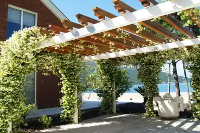 Plantas ideales para sembrar en septiembre: en verano van a dar sombra