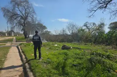 San Andrés: investigan una nueva quema de pastizales en el barrio Ampliación 210 Viviendas