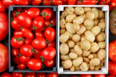 ¿Por qué el tomate y la papa no forman parte de la cocina tradicional china?