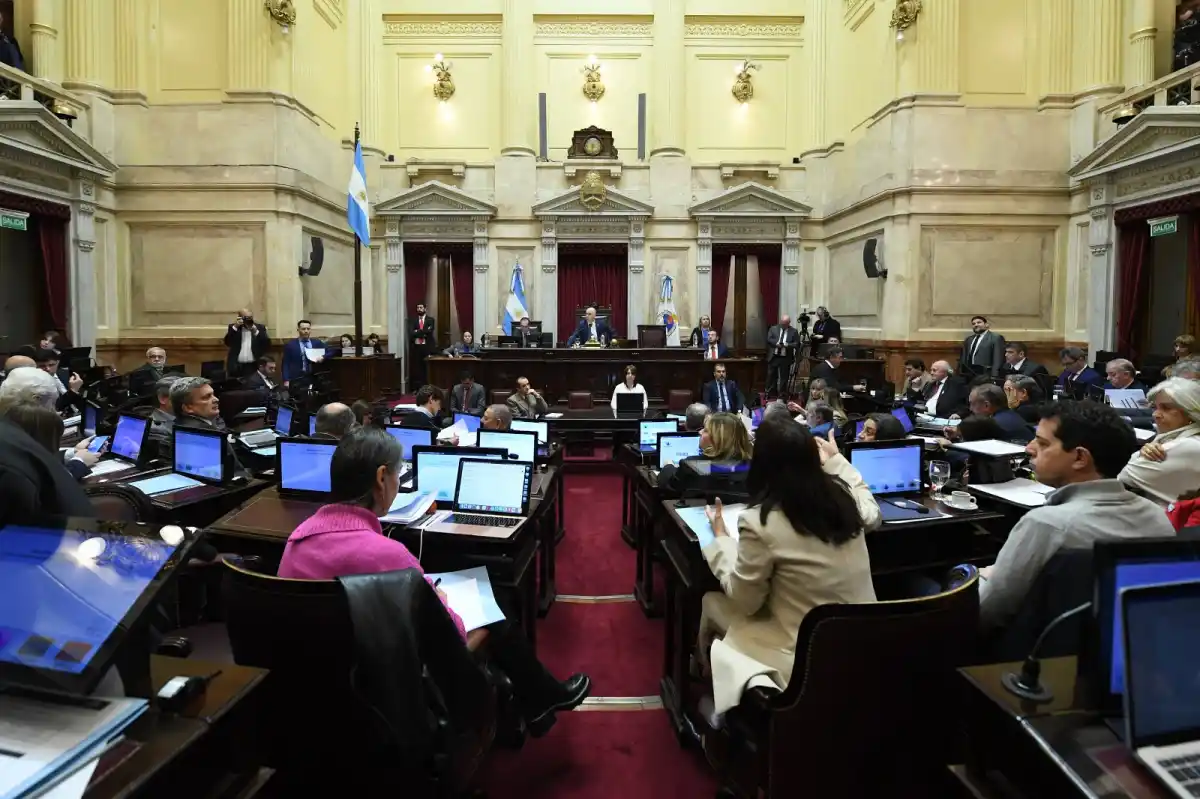 El Senado rechazó el veto de Milei y reactivó la ley de emergencia en discapacidad