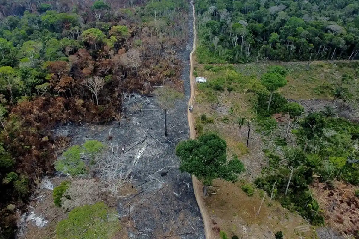CRISIS AMBIENTAL. Según el nuevo estudio, una décima parte de la Amazonia es susceptible de convertirse en pastizales u otra forma de ecosistema degradado.
