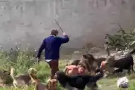 ¿Entró a robar el hombre que fue atacado por una jauría?