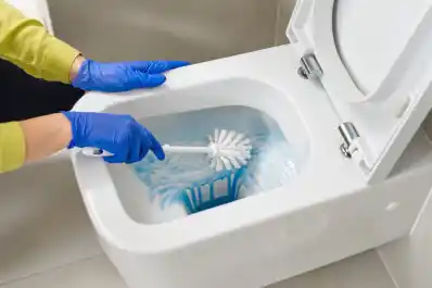 Truco económico y casero para eliminar definitivamente el sarro del baño