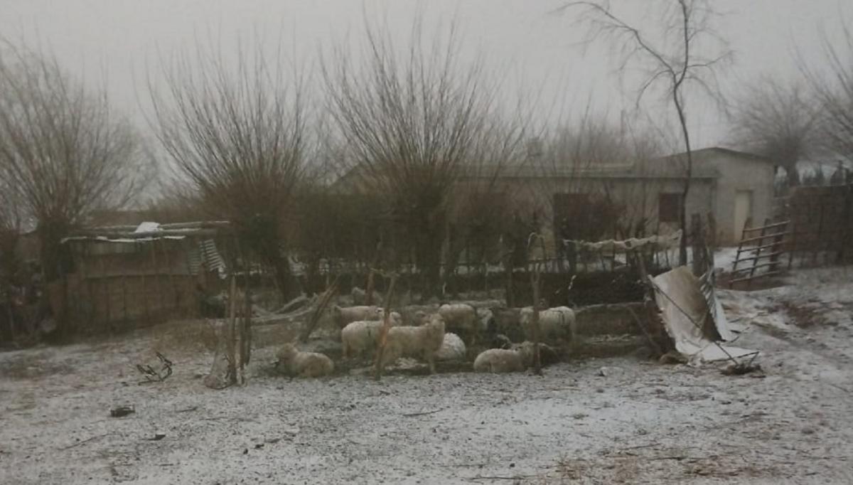 A días de la primavera, la postal invernal volvió a los Valles: Tafí amaneció bajo la nieve