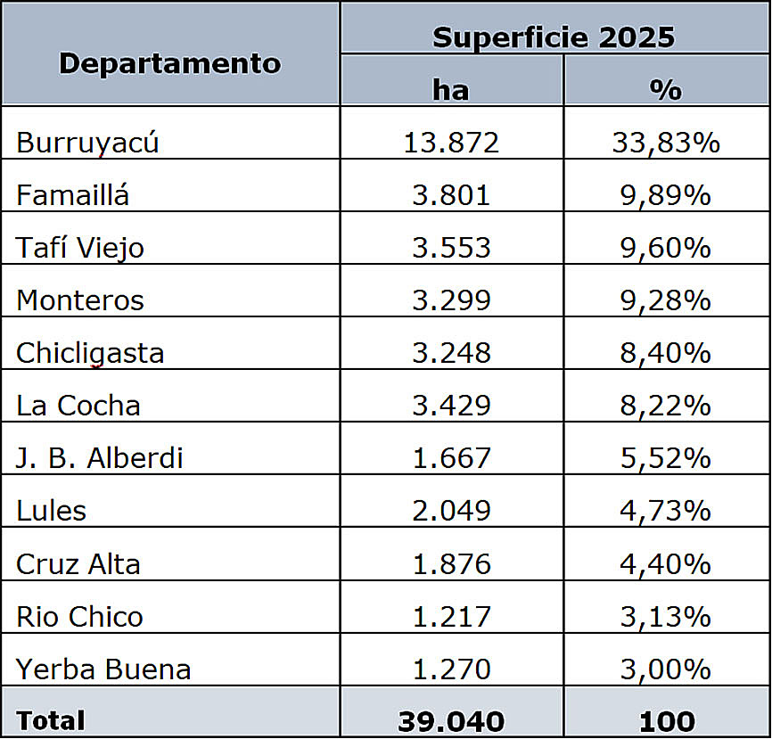 Tabla 1: Superficie y porcentaje departamental cultivado con cítricos en la provincia de Tucumán durante la campaña 2025.