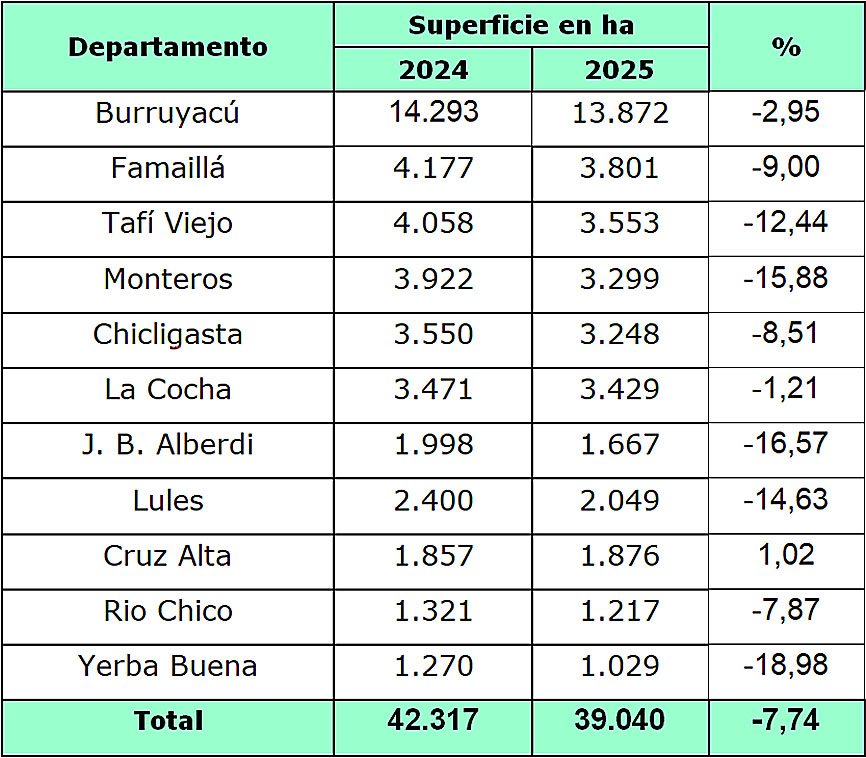 Tabla 2: Variación superficie implantada con Citrus entre las campañas 2025 y 2024.