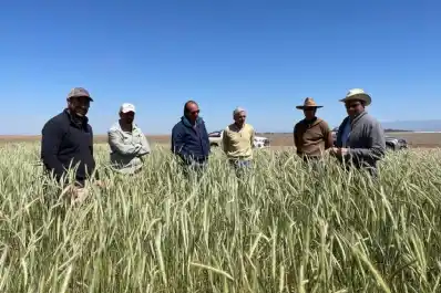Cusillos: un cuarto de siglo de historia y un camino hacia la sustentabilidad
