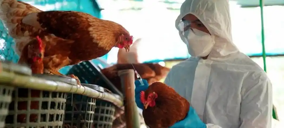 ACCIÓN. Tras recibir la notificación, el Senasa envió material a su laboratorio.
