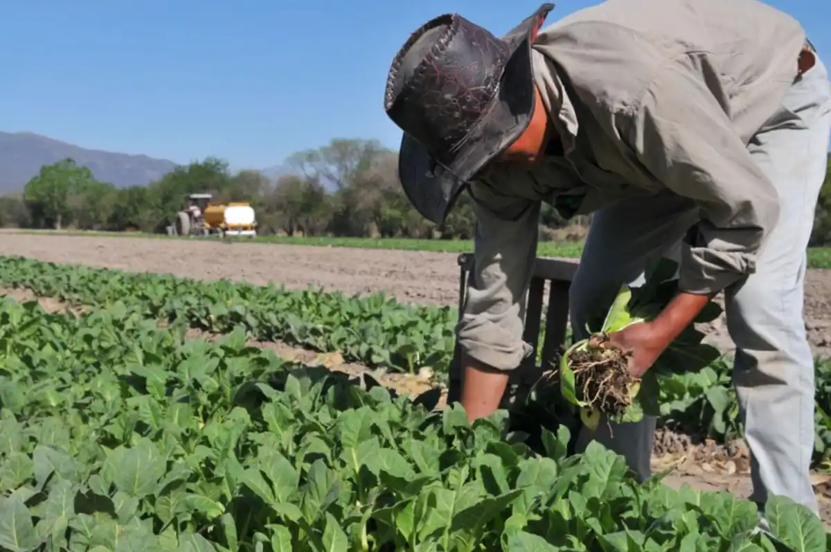 Efemérides del lunes 8 de septiembre: ¿qué pasó un día como hoy?