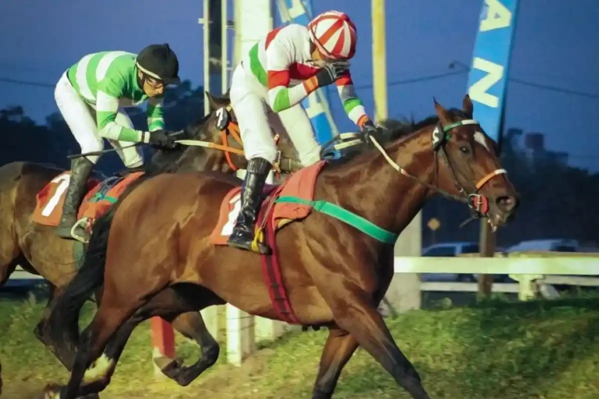 TAREA CUMPLIDA. El jinete Héctor Suárez celebra la victoria conseguida por Twitch Hurricane en el especial “Oscar Bravo”.