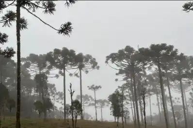 Ver nieve y sentir frío en el Brasil que los argentinos invaden por la playa y el sol