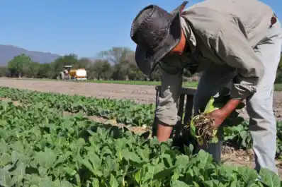 Efemérides del lunes 8 de septiembre: ¿qué pasó un día como hoy?