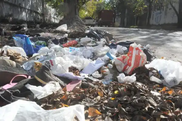 ¿Por qué no se termina el problema de la basura en la capital?