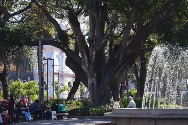 El tiempo en Tucumán: mucho sol para el inicio de un fin de semana cálido