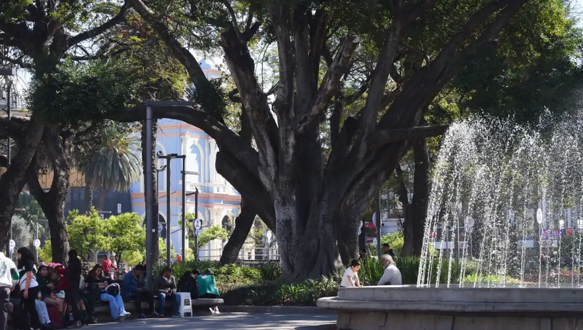 El tiempo en Tucumán: preparate para volver a casa con el abrigo en la mano