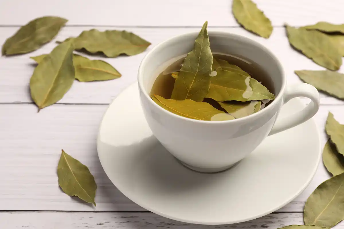 Tomar té de laurel en ayunas todos los días: ¿qué efectos tiene en el cuerpo?