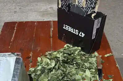 El precio de las encomiendas favorece el envío de drogas mediante este sistema