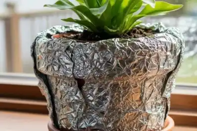 El truco con papel de aluminio que ayuda a que tus plantas crezcan más sanas y fuertes