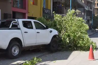 Susto en Barrio Sur: una camioneta se estrelló contra dos árboles y terminó sobre la vereda