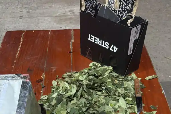 El precio de las encomiendas favorece el envío de drogas mediante este sistema