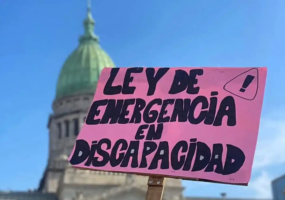 El Gobierno busca cómo frenar la Emergencia en Discapacidad