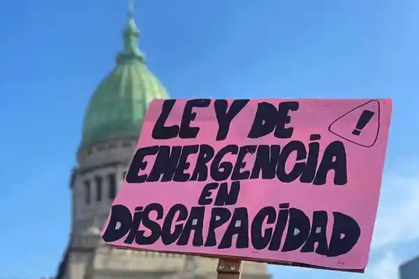 El Gobierno busca cómo frenar la Emergencia en Discapacidad