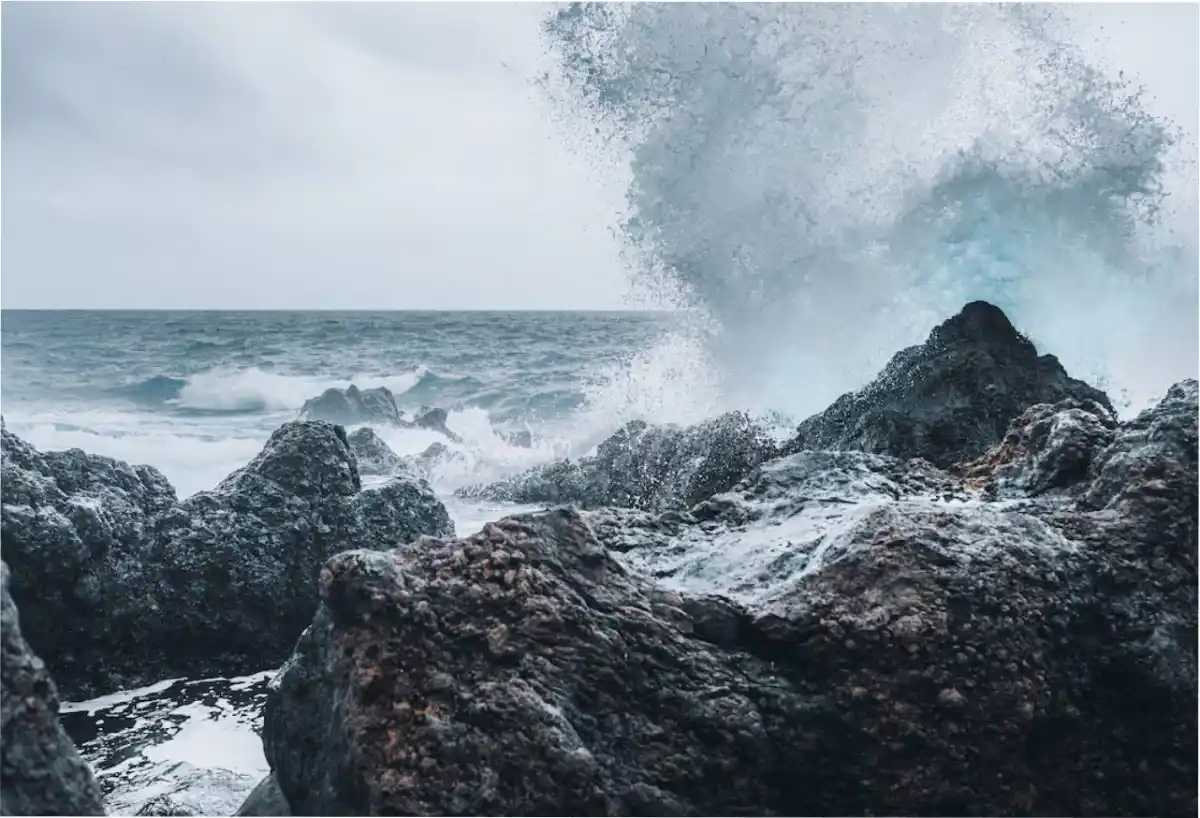 Un descubrimiento puso de cabeza lo conocido.