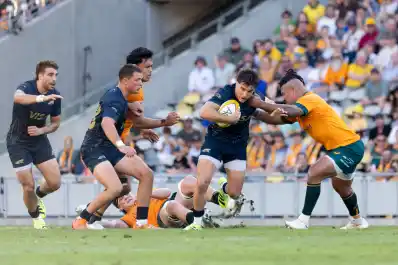 Rugby Championship: Los Pumas buscan revancha ante los Wallabies en Sídney