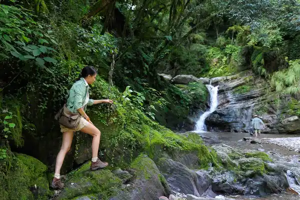 Lanzan un curso de Fotografía y Biodiversidad en las Yungas tucumanas