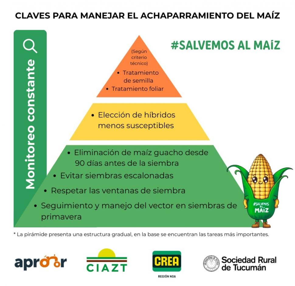 Los actores de la cadena del maíz se reunieron en pos de estrategias para fortalecer el cultivo