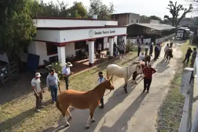 El rol de las muestras agrícolaganaderas