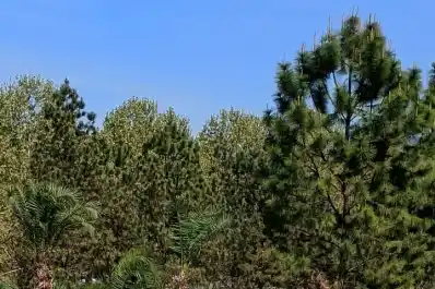 El Abierto de San Pablo se abrió con gran nivel en su primera jornada