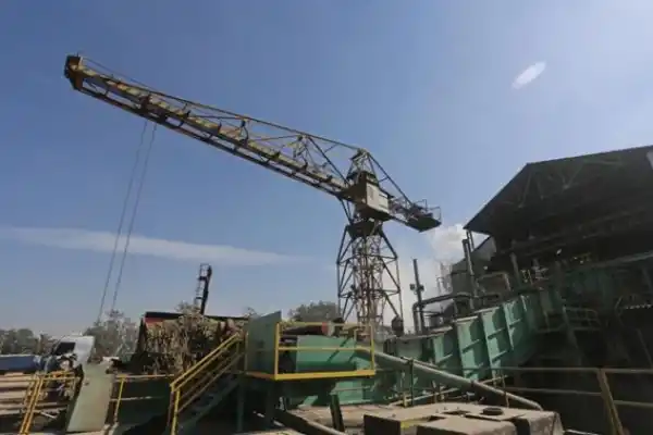 Fogliata desglosó las cifras que arrojó la zafra hasta ahora