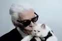 Así vive hoy Choupette, la gata a la que el diseñador Karl Lagerfeld heredó toda su fortuna