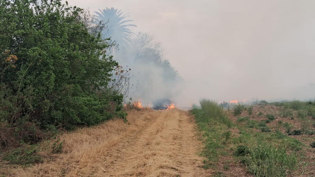 La Justicia investiga una nueva quema de rastrojos de caña en el este tucumano