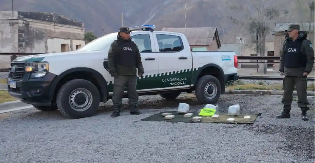 Jujuy: incautan más de 10 kilos de cocaína y marihuana y más de 225 kilos de hojas de coca