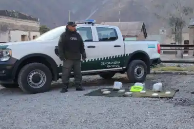 Jujuy: incautan más de 10 kilos de cocaína y marihuana y más de 225 kilos de hojas de coca
