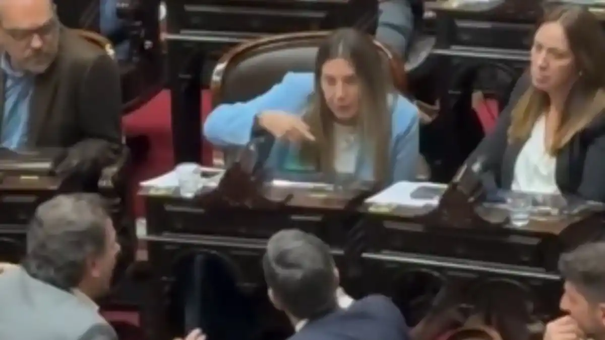 AL ROJO VIVO. Las internas entre los diputados del PRO quedaron expuestas durante la última sesión de Diputados.