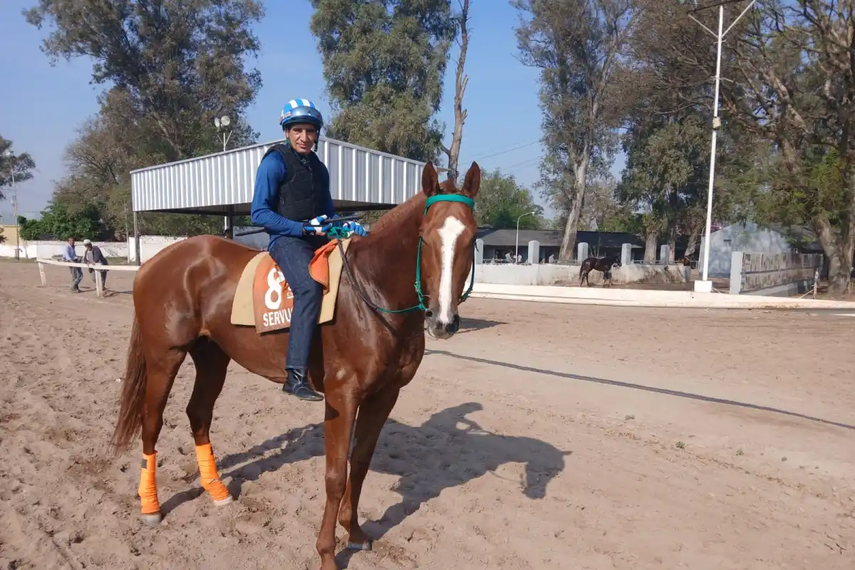 JINETE EXPERIMENTADO. Pedro “Chilila” Robles será uno de los protagonistas de la jornada turfística que se llevará a cabo el miércoles en el hipódromo local.