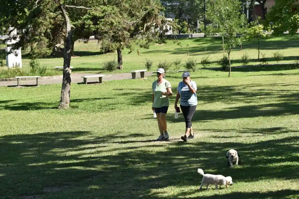 ¿Cuándo volverá a brillar el Parque Guillermina?