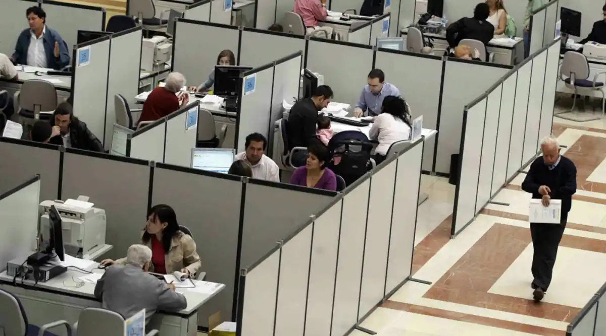 ESTUDIO SOBRE EL EMPLEO PÚBLICO EN ARGENTINA. El 56% de los estatales son mujeres y el sector público supera al privado en formación y estabilidad. / FREEPIK